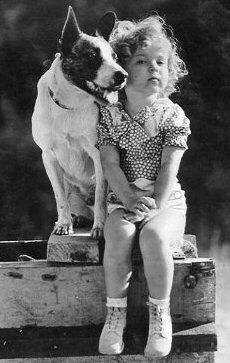 Shirley_Temple_dog_PieCoveredWagon_1932_crop